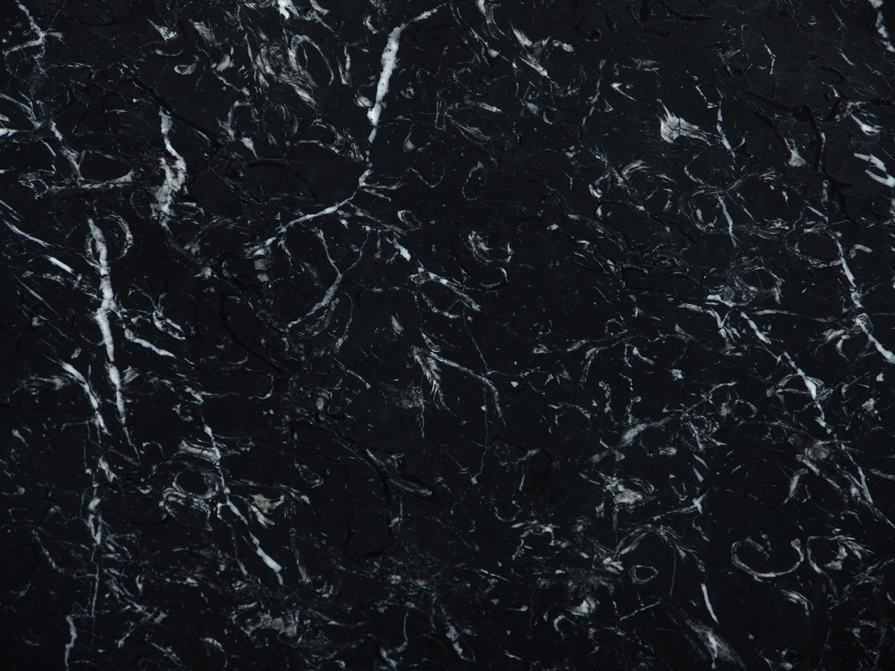 BLACK MARQUINA